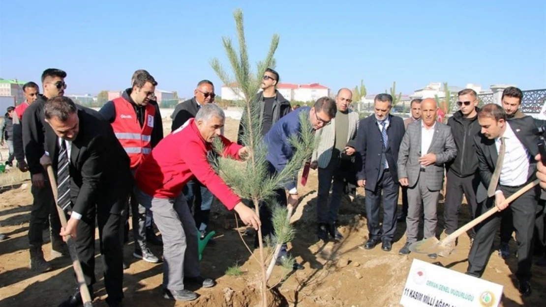 Erciş'te fidan dikme etkinliği