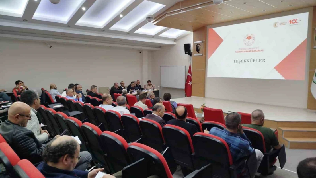 Erzincan 3 projeye daha onay aldı