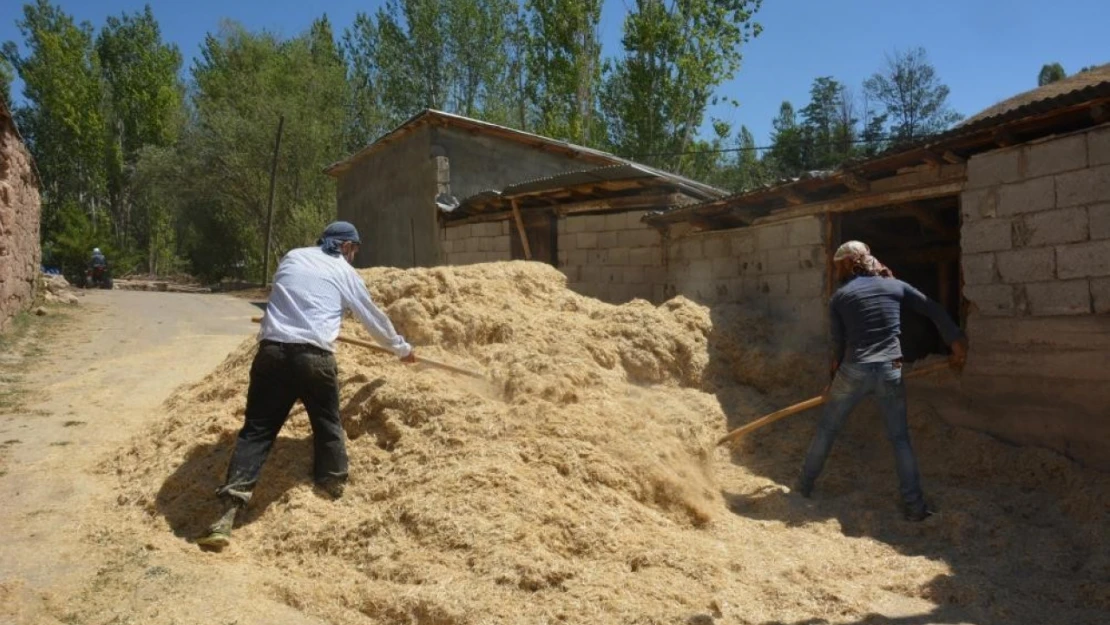 Erzincan'da çiftçiler kış için son hazırlıklarını tamamlıyor