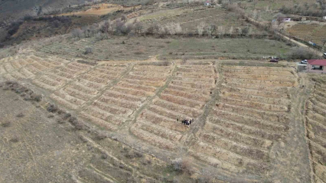 Erzincan'da çiftçilere tarla okulu eğitimi verildi