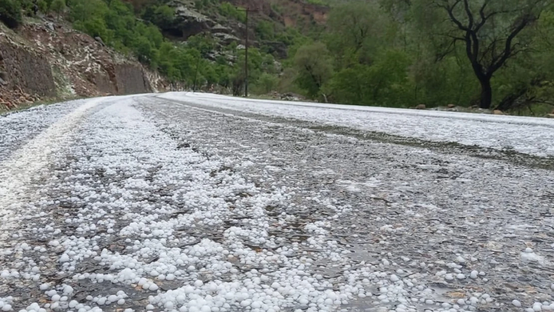 Erzincan'da dolu yağışı etkili oldu