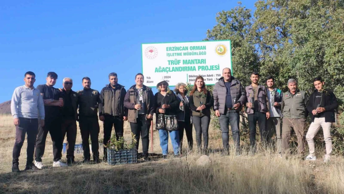 Erzincan'da ilk defa trüf mantarı ormanı oluşturuldu