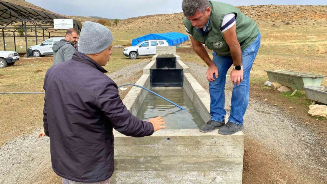 Erzincan'da ıslah çalışmaları devam ediyor