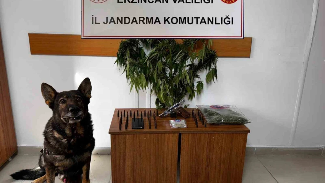 Erzincan'da jandarma suç olaylarına geçit vermiyor