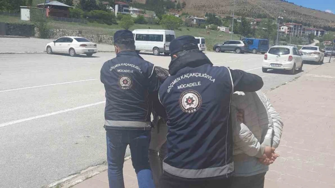 Erzincan'da kaçak göçmen taşıyan 2 kişi tutuklandı