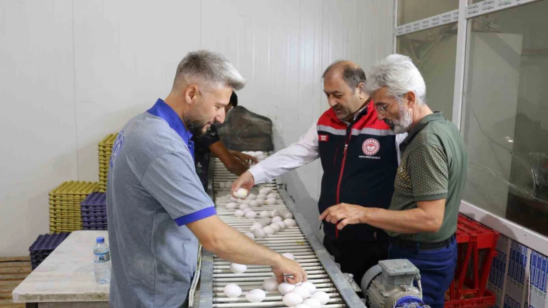 Erzincan'da tam otomatik tesislerde üretilen yumurtalar tarıma değer katıyor