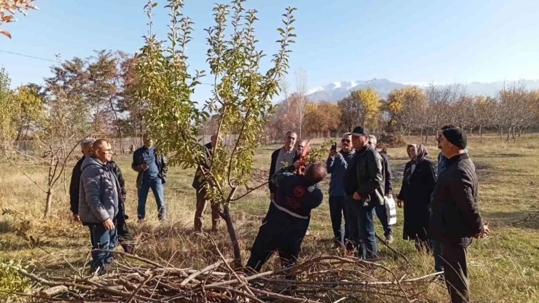 Erzincan'da teorik ve pratik budama eğitimleri başlatıldı