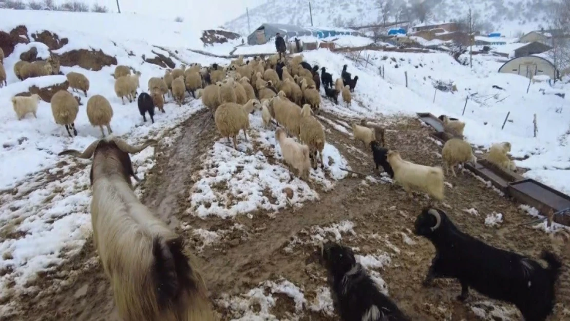 Erzincan'ın köylerinde kış mesaisi başladı
