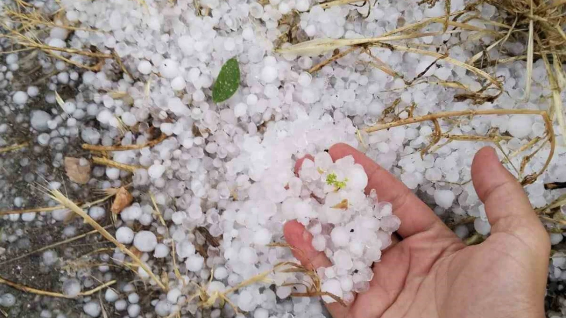 Erzincan'ın Tercan ilçesinde dolu etkili oldu