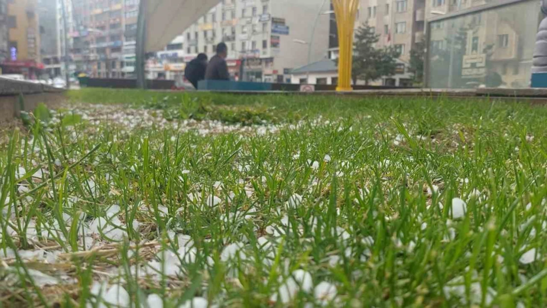 Erzurum'da dolu etkili oldu