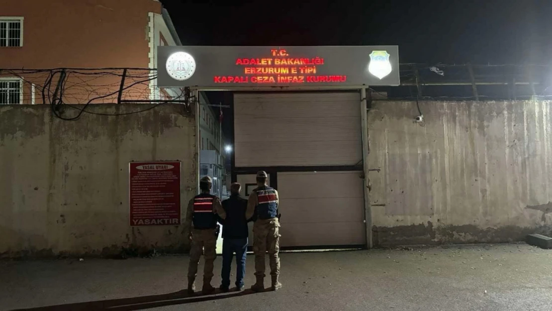 Erzurum'da jandarmadan kaçak şahıslara operasyon