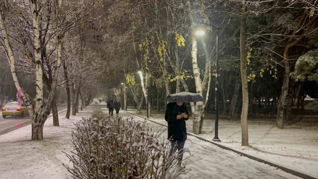 Erzurum'da kar yağışı etkili oluyor