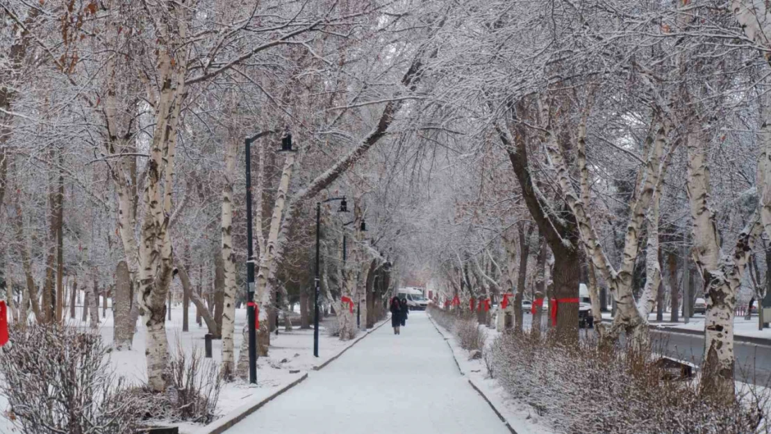 Erzurum'da kar yağışı şehri beyaza bürüdü