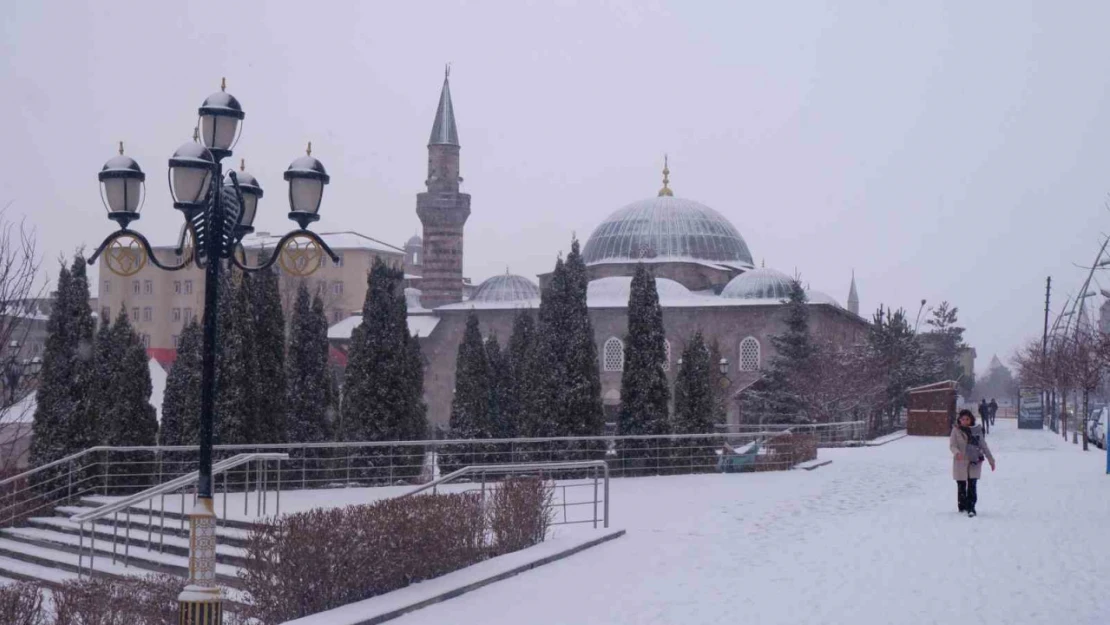 Erzurum'da Mart kapıdan baktırdı