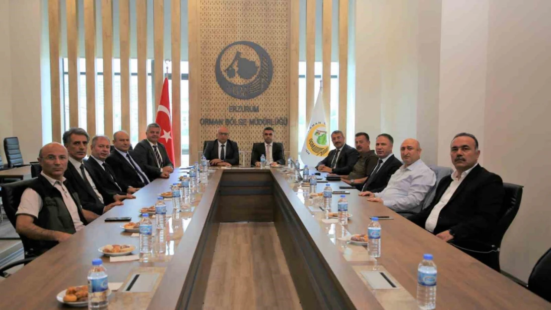 Erzurum'da orman zirvesi