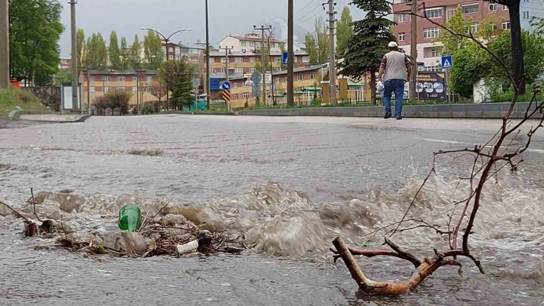 Erzurum'da yağmur etkili oldu