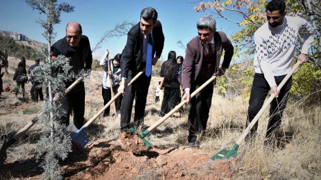 Fidanlar toprakla buluştu