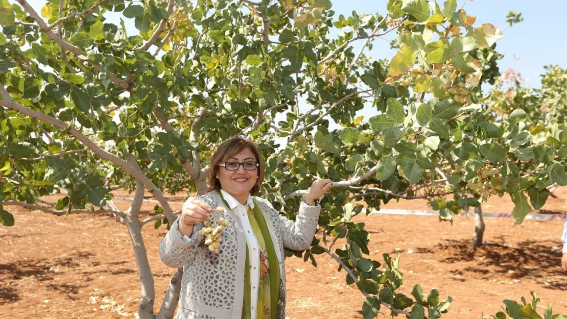 GastroAntep Kültür Yolu Festivali ile Gaziantep'in mutfak ve kültür zenginliği yeniden dünya sahnesinde