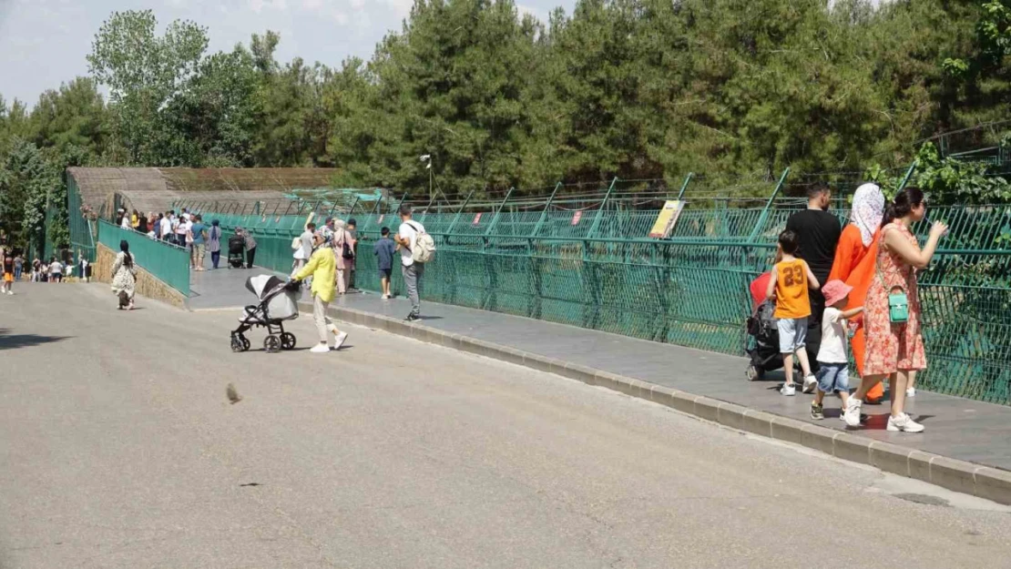 Gaziantep Doğal Yaşam Parkı'na ziyaretçi akını