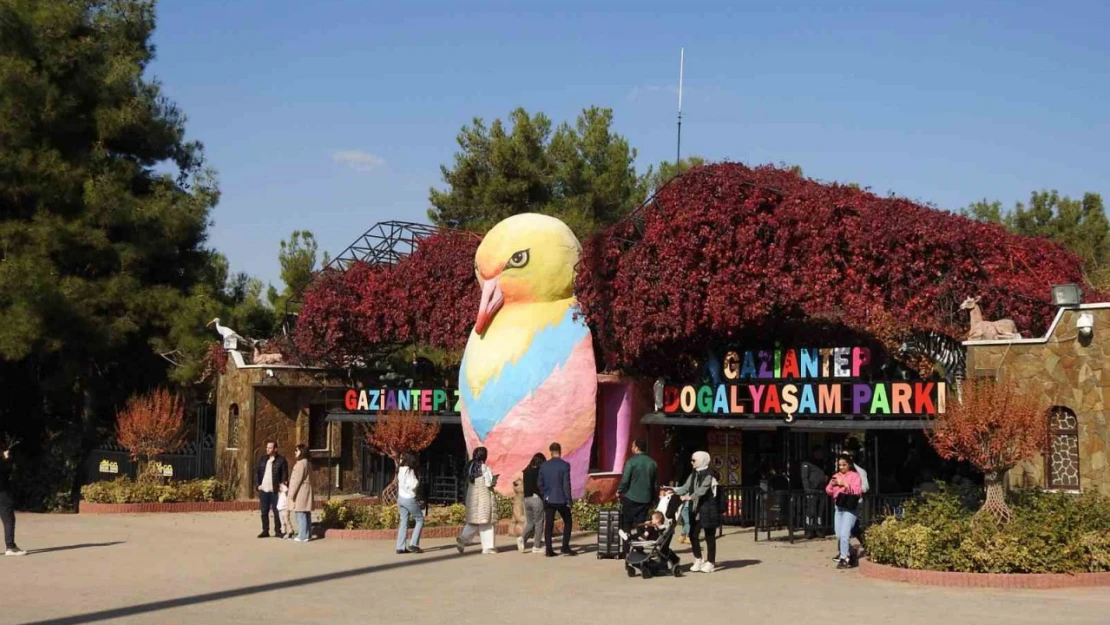 Gaziantep Doğal Yaşam Parkı'na ara tatilde ziyaretçi akını