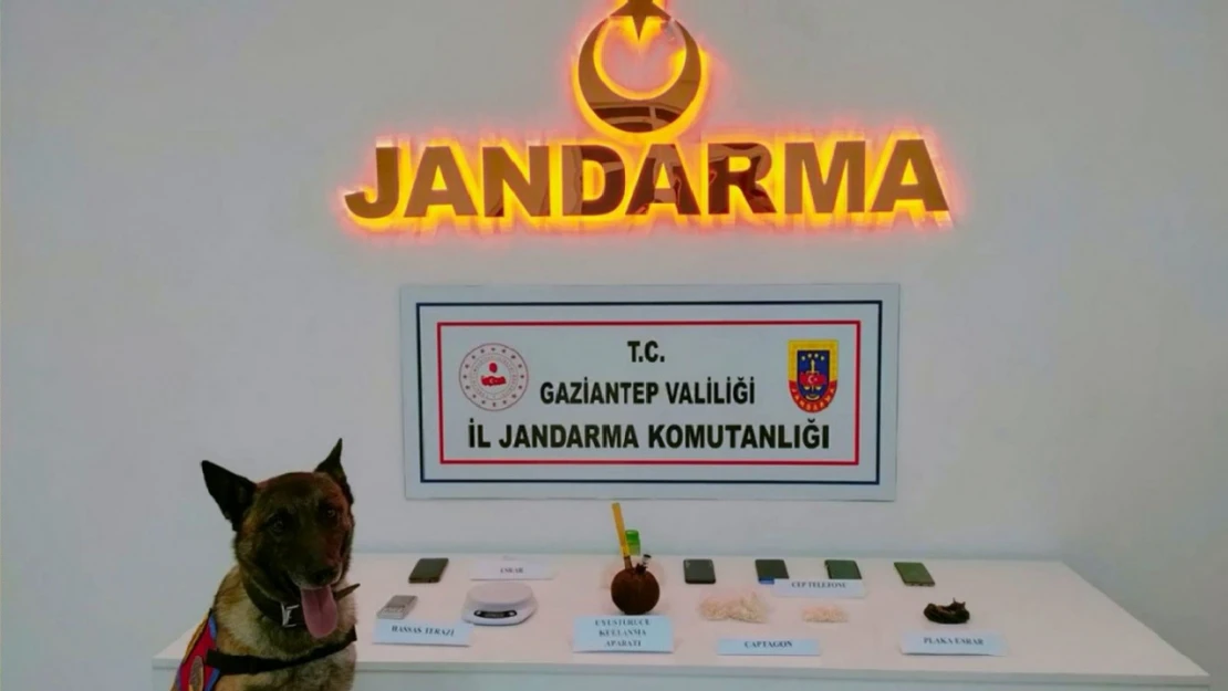 Gaziantep jandarmadan 2 ayda 823 şüpheliye gözaltı