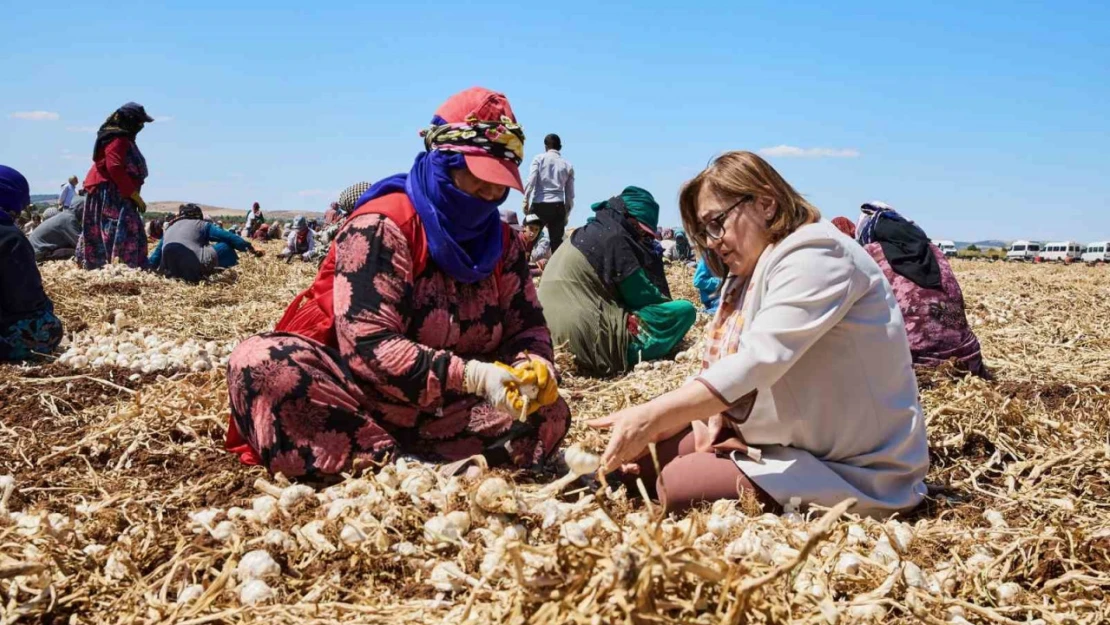 Gaziantep'te 'Haydi Tarladan Sofraya' projesi ile çiftçi ile tüketici buluşturulacak