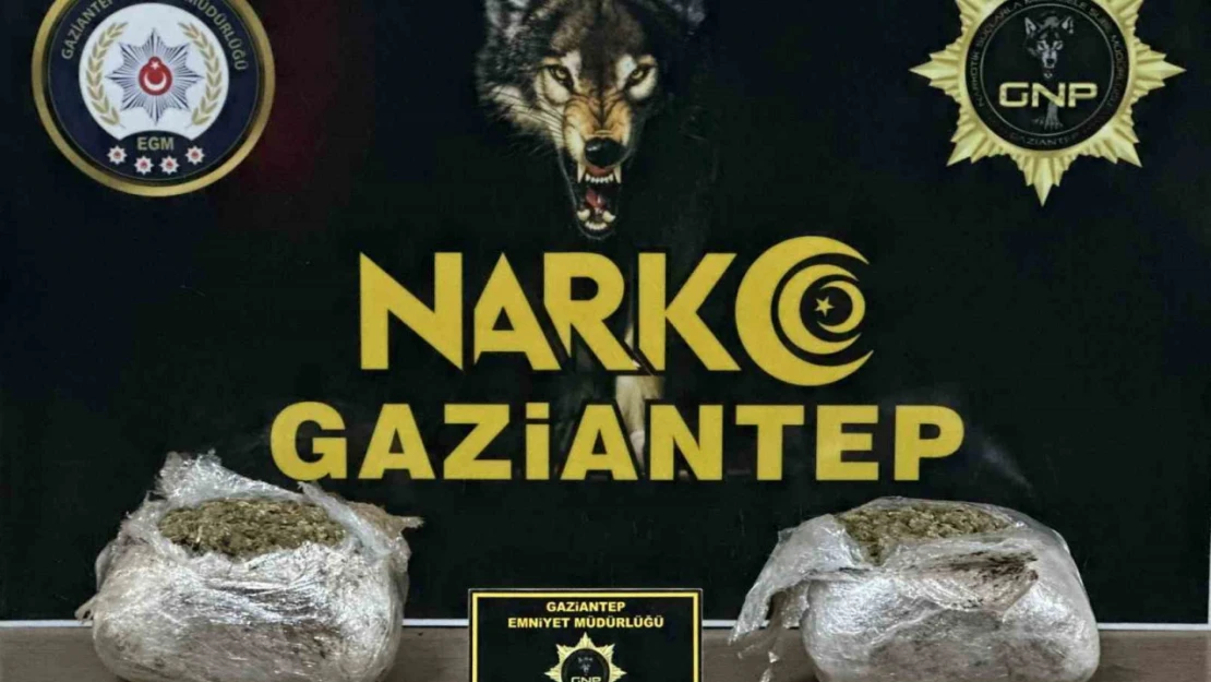 Gaziantep'te 1.5 kilogram skunk ele geçirildi