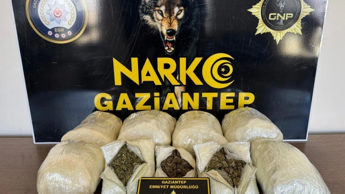 Gaziantep'te 5 kilo skunk ele geçirildi