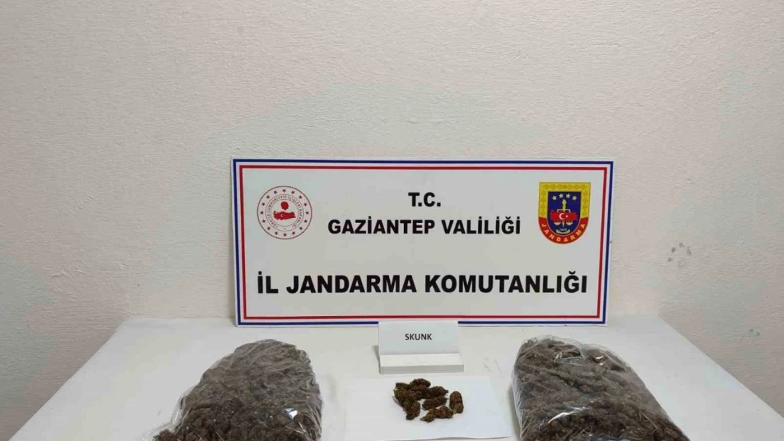 Gaziantep'te 5 kilo skunk ele geçirildi: 1 şahıs tutuklandı