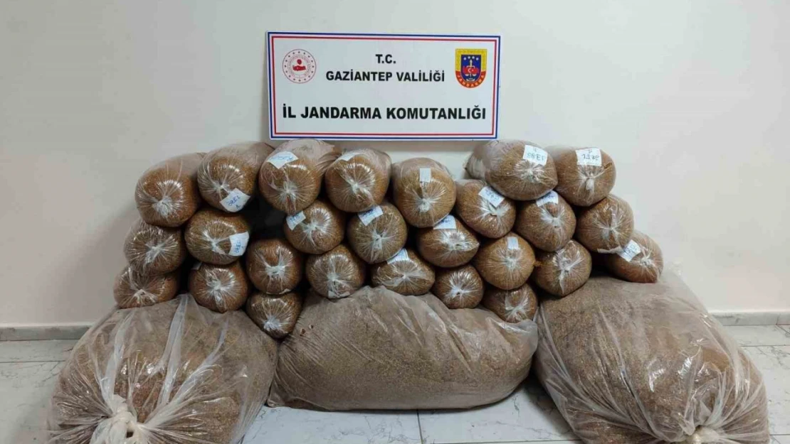 Gaziantep'te 500 kilo kaçak tütün ele geçirildi