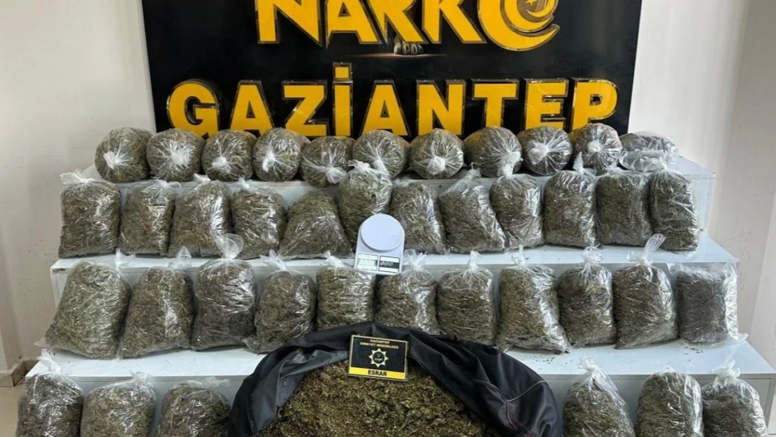 Gaziantep'te 56 kilo esrar ele geçirildi