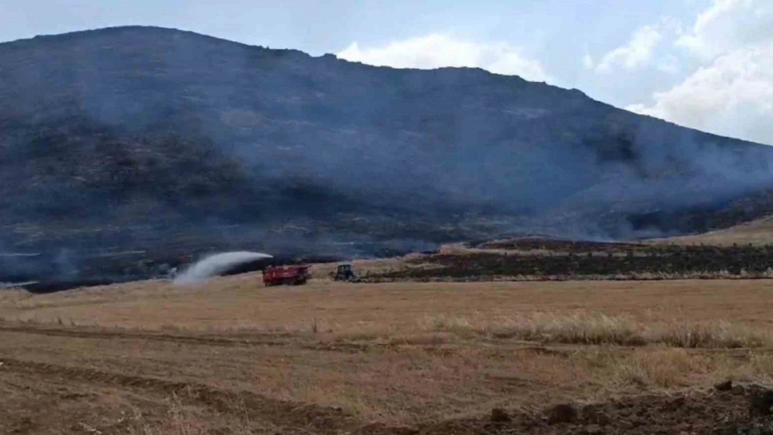 Gaziantep'te anız yangını ormanlık alana zarar verdi