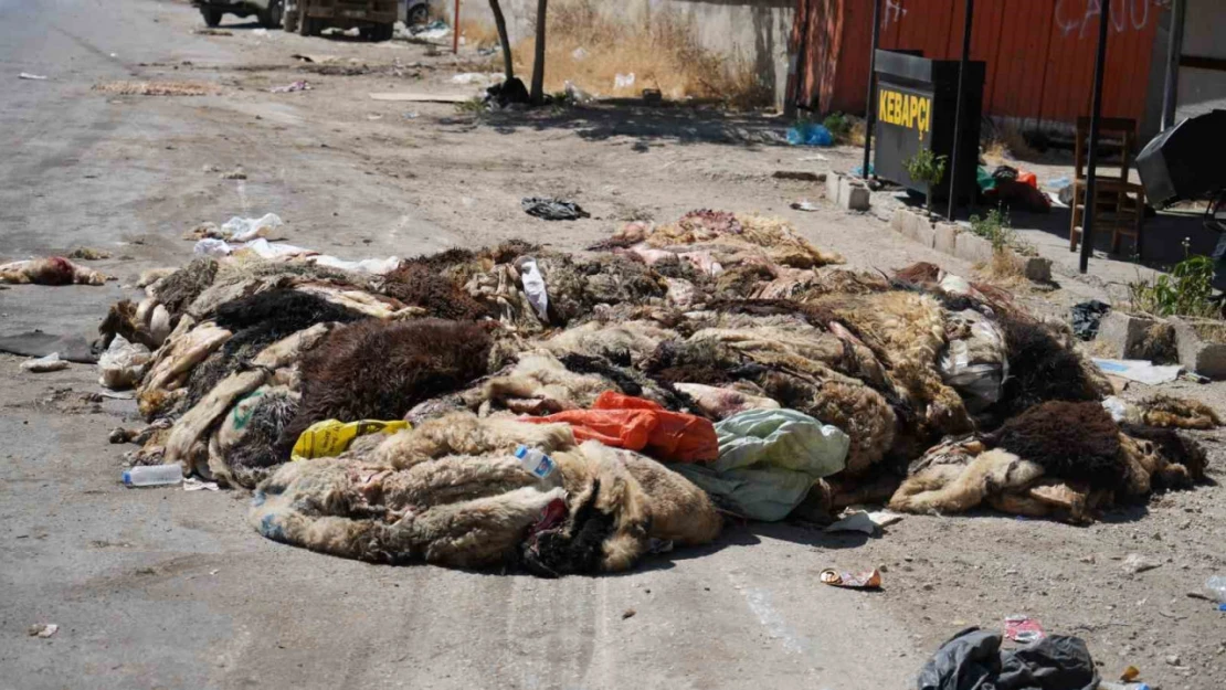 Gaziantep'te mide bulandıran görüntüler