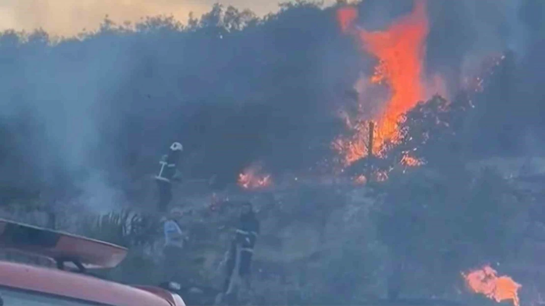 Gaziantep'te orman yangını