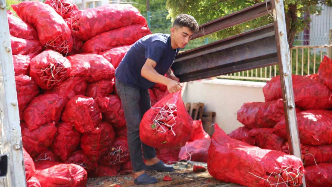 Gaziantep'te salça mesaisi başladı