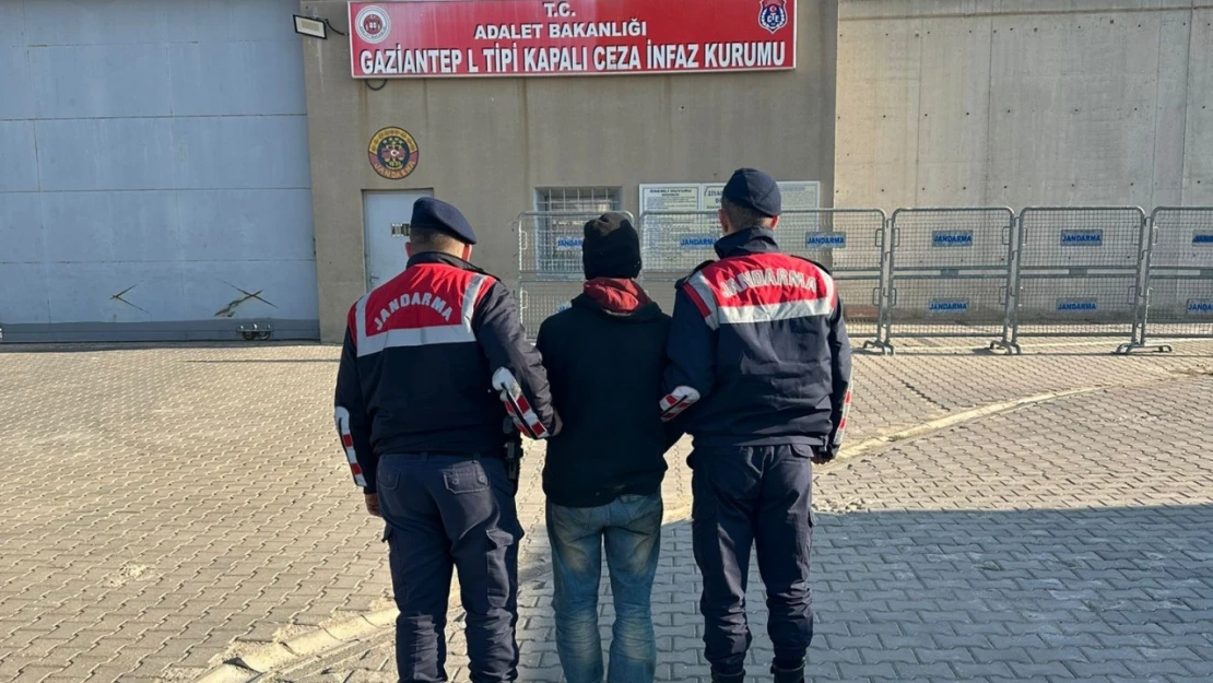 Gaziantep'te zeytin hırsızlığı şüphelisi tutuklandı