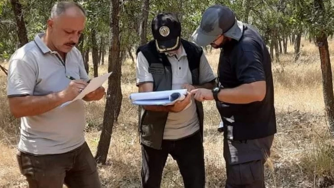 Gölbaşı'nda ormanların sağlığı araştırılıyor