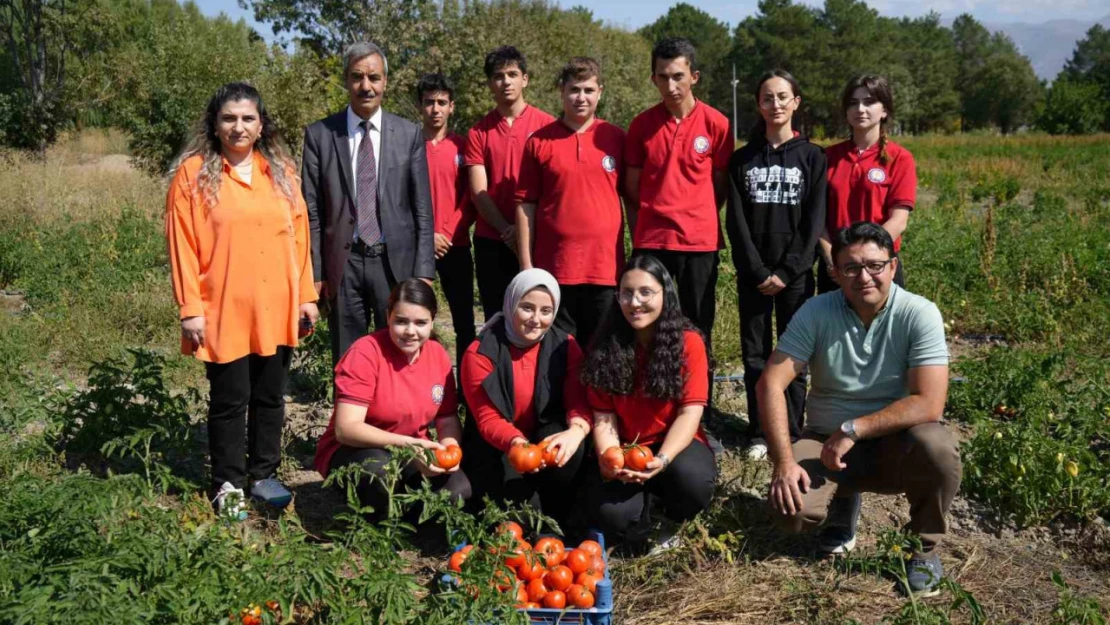 Hem öğreniyor, hem üretiyor, hem de kazanıyorlar