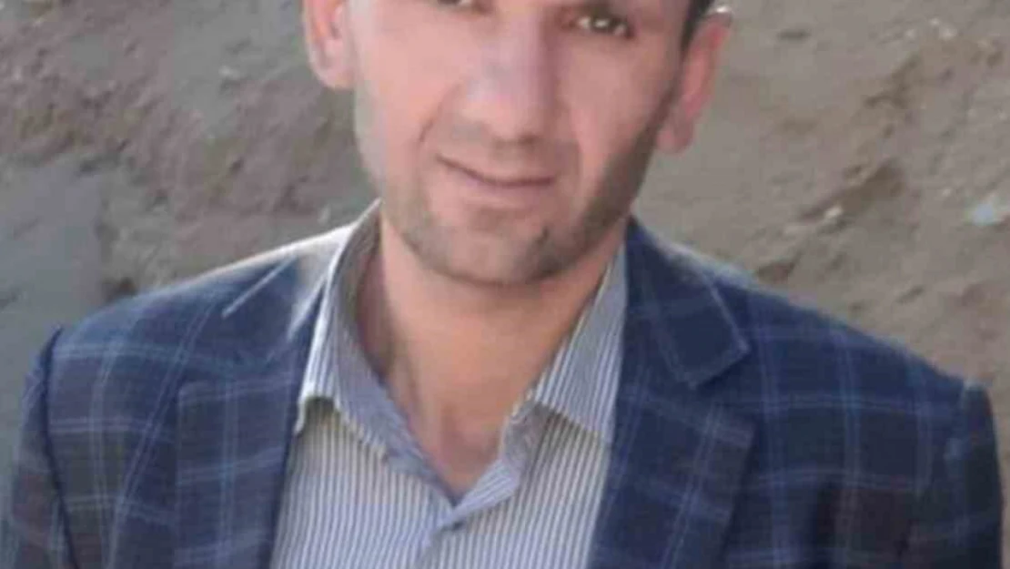 Hizan'da üzerine ağaç devrilen adam hayatını kaybetti