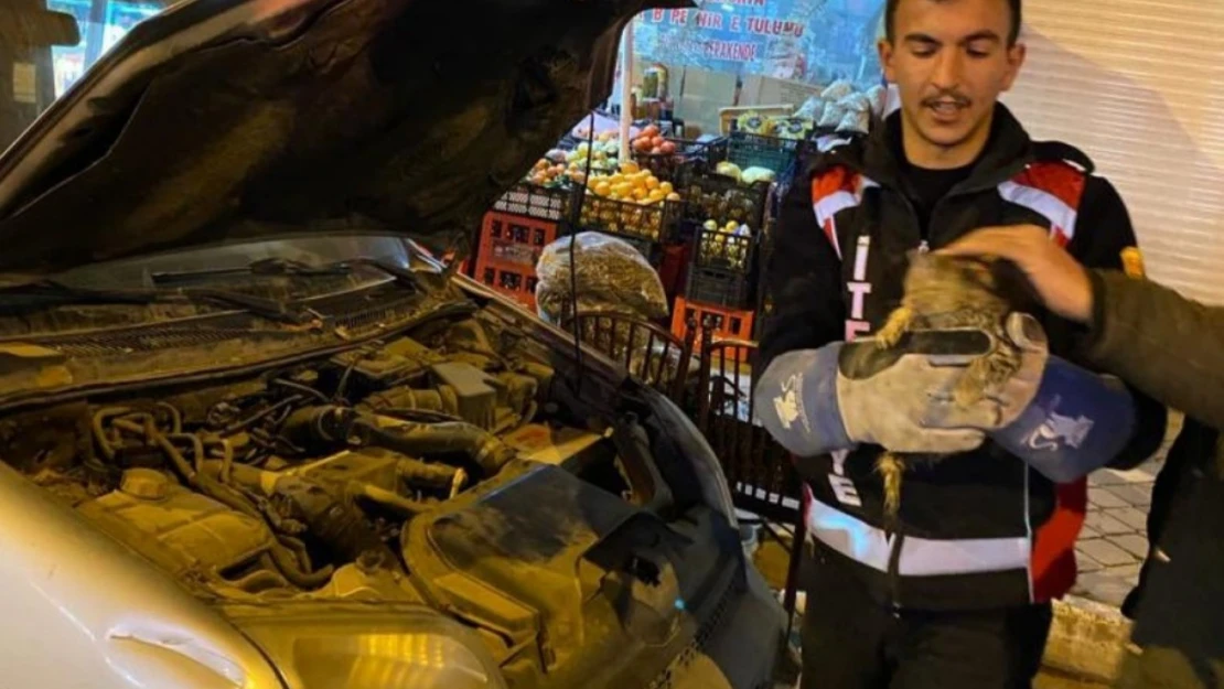 Iğdır'da otomobilin motoruna sıkışan yavru kedi kurtarıldı