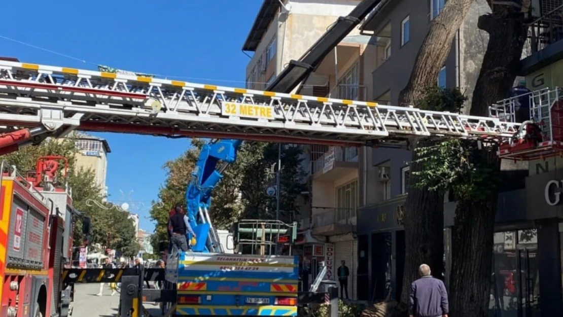 Iğdır'da tehlike arz eden ağaçlara müdahale