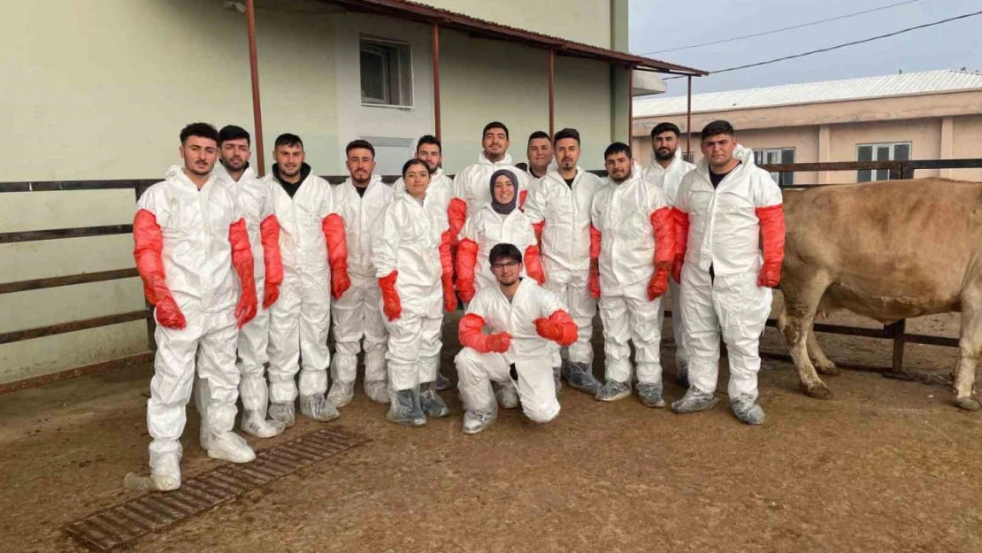 Iğdır'da veteriner sağlık teknisyenlerine suni tohumlama kursu düzenlendi