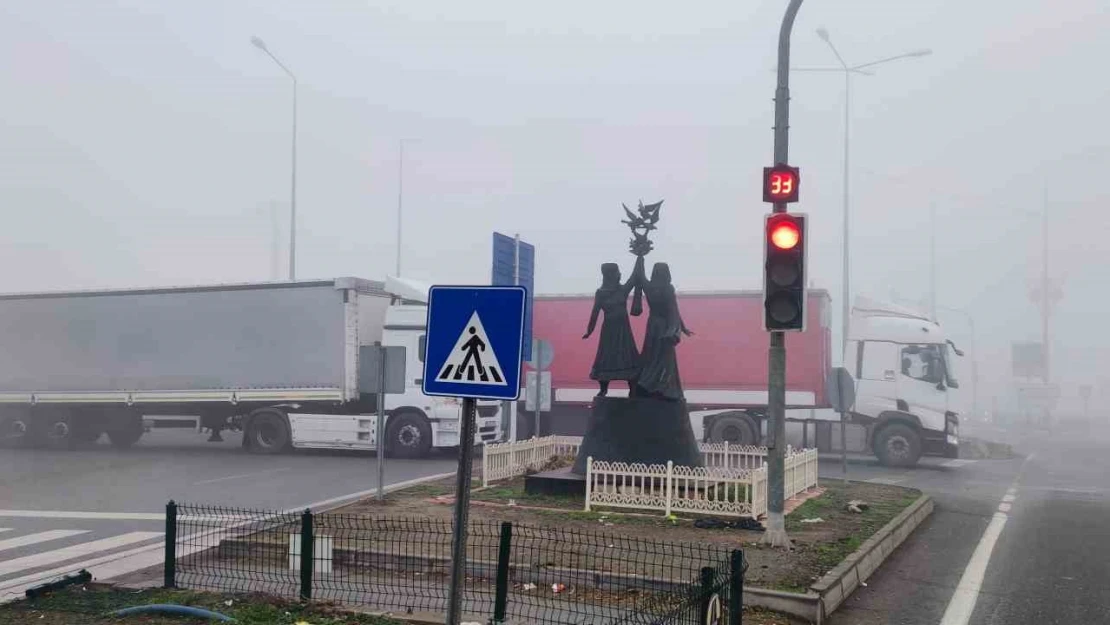 Iğdır'da yoğun sis etkili oluyor