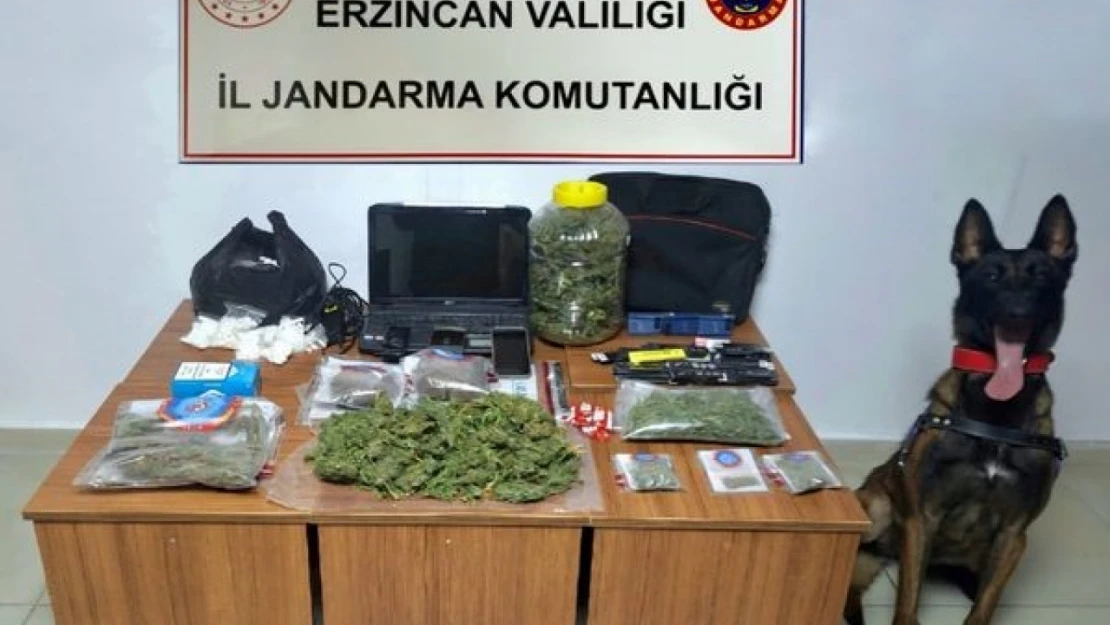 Jandarma ekipleri Erzincan'da uyuşturucuya geçit vermiyor