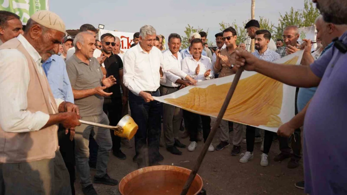 Kahta 1. Bağbozumu Festivali'nde renkli görüntüler