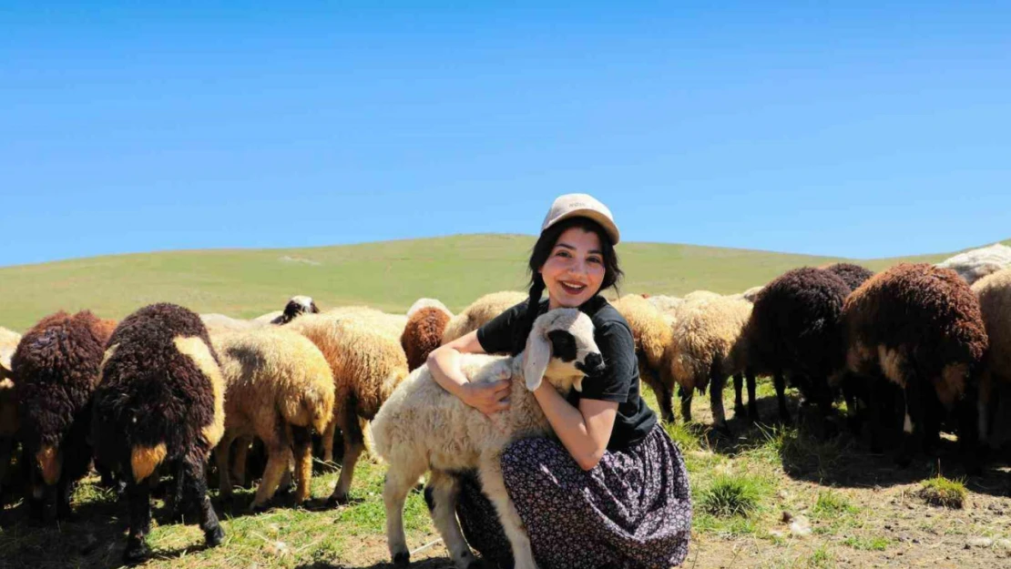 Kahvaltı sofralarına 3 bin rakımdan gelen lezzet: Erzincan tulum peyniri