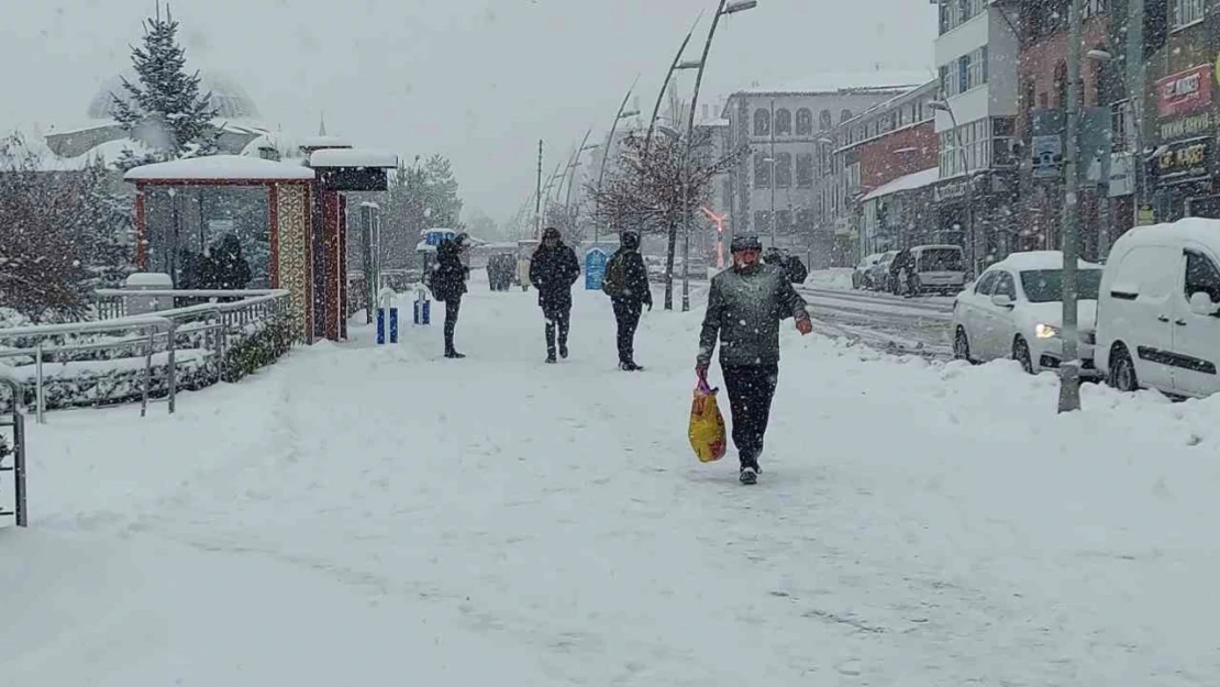 Kar Erzurum'u esir aldı