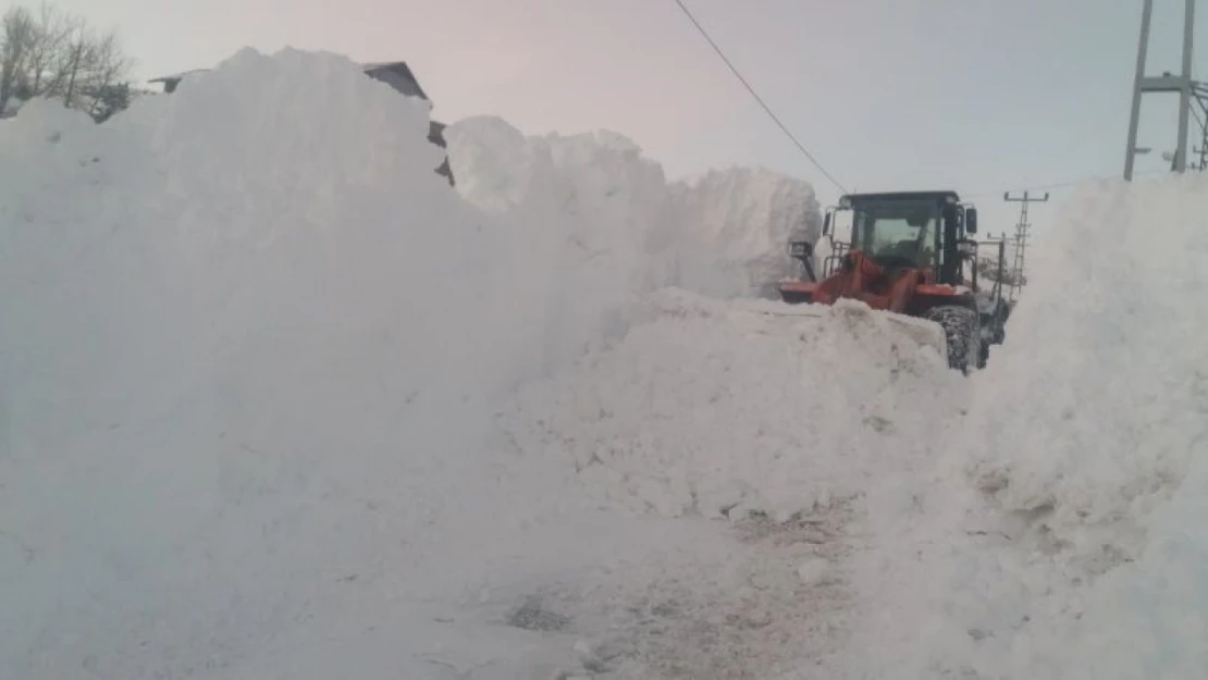 Kar ve tipi Posof'u esir aldı