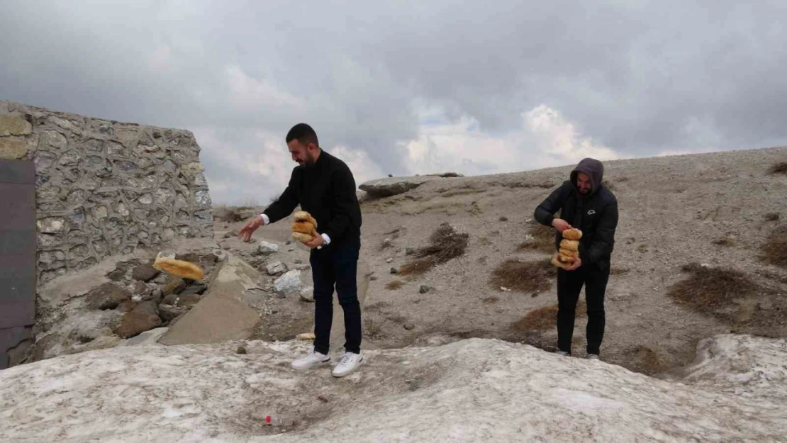 Karla kaplı Nemrut'taki yabani hayvanlar unutulmadı