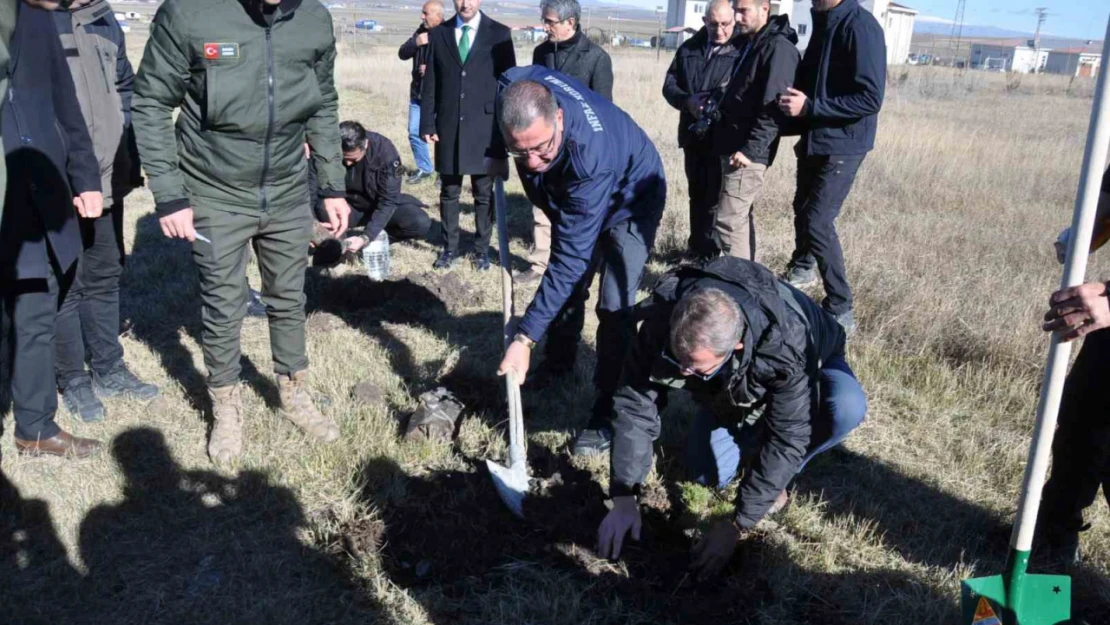 Kars'ta fidanlar toprakla buluştu